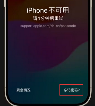 顺昌苹果手机密码维修分享iPhone忘记了刚设置的密码 