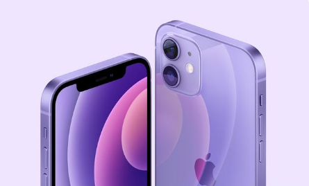 顺昌苹果手机维修分享紫色版iPhone 12有什么技术亮点 