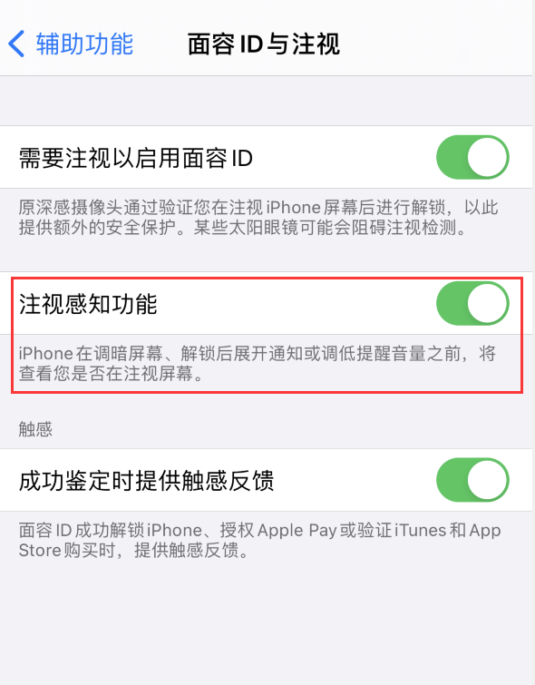 顺昌苹果手机维修分享iPhone 12 不会自动锁屏怎么办 